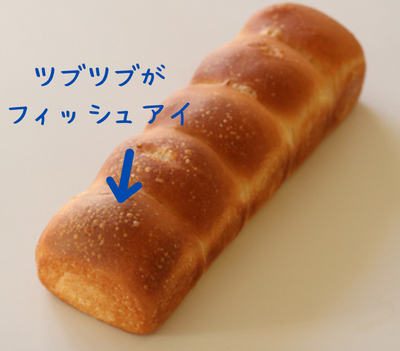 パン作り　冷蔵発酵でできたフィッシュアイ