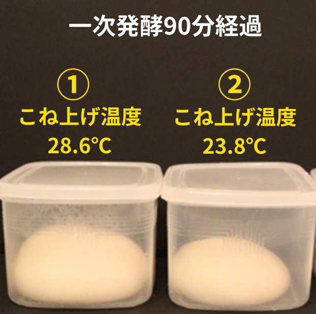 てんさい糖のパンのこね上げ温度が28℃のものと23℃のものを、一次発酵が90分経過した時点で比較したもの