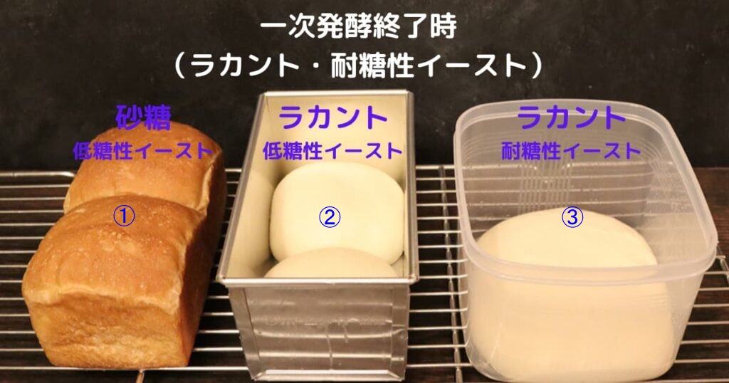 ラカントのパンがは膨らまないかを実験するために、3種類のラカントのパンを焼いて、うち1種類のパンが焼きあがったところの画像