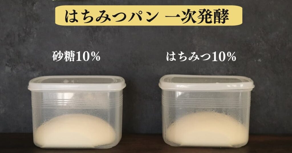 はちみつパンが膨らまない原因と対処法を考察するための実験結果。砂糖10％とはちみつ10％のパン生地を一次発酵させて比べている画像。はちみつのパンも砂糖と同じくらい膨らんでいる。
original photographic evidence