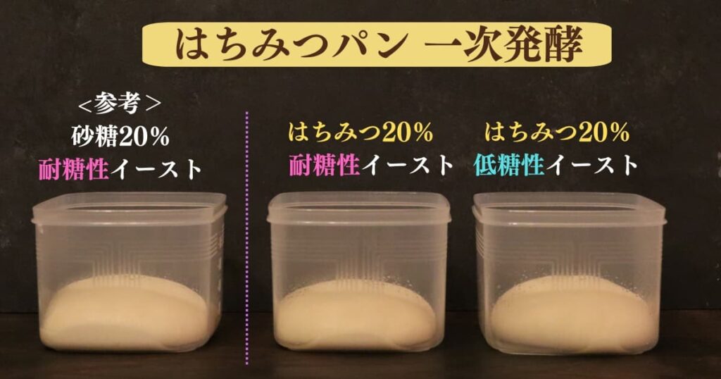 はちみつパンが膨らまない原因と対処法を考察するための実験結果。
砂糖10％の耐糖性イースト、
はちみつ20％の耐糖性イースト、はちみつ20％の低糖性イーストのパン生地を一次発酵させて比べている画像。どれも同じくらい発酵している。
original photographic evidence