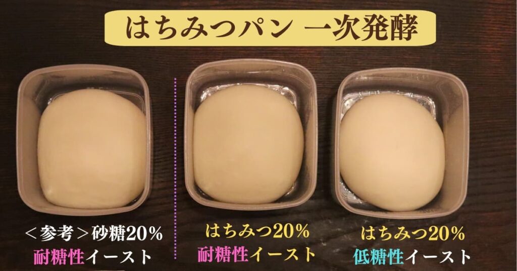 はちみつパンが膨らまない原因と対処法を考察するための実験結果。
砂糖10％の耐糖性イースト、
はちみつ20％の耐糖性イースト、はちみつ20％の低糖性イーストのパン生地を一次発酵させて比べている画像。上から見るとはちみつ20％のパン生地は２つとも砂糖に比べて膨らんでいないのがわかる画像。
original photographic evidence