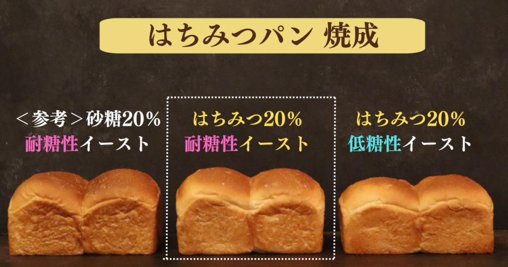 はちみつパンが膨らまない原因と対処法を考察するための実験結果。
砂糖10％の耐糖性イースト、
はちみつ20％の耐糖性イースト、はちみつ20％の低糖性イーストのパン生地を焼成して比べている画像。はちみつ２０％、低糖性イーストの生地は他に比べて膨らんでいないのがわかる画像。
original photographic evidence