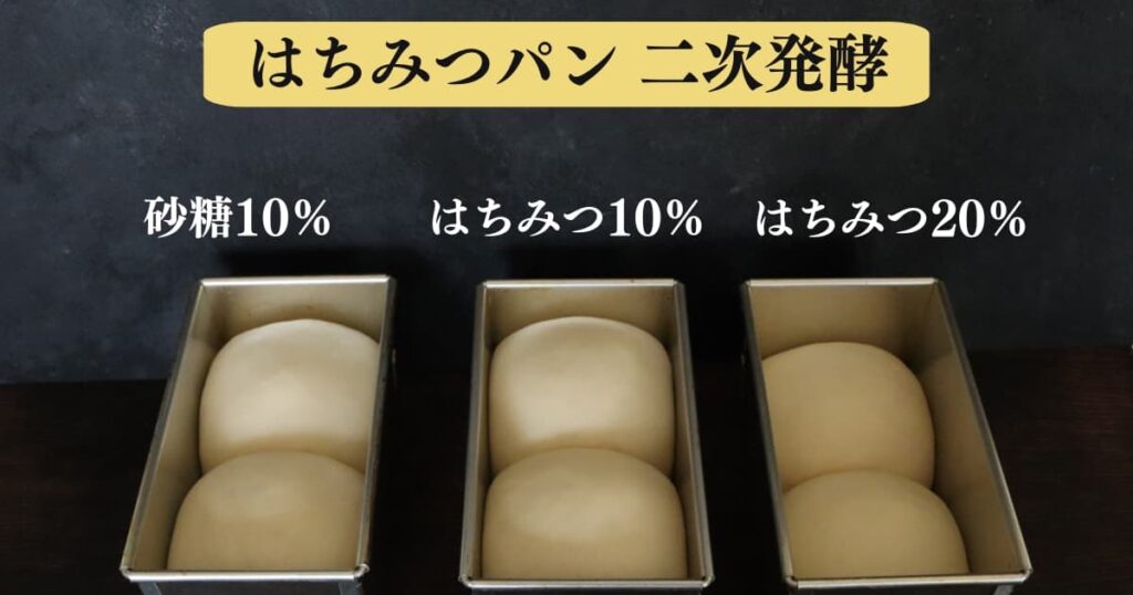 はちみつパンが膨らまない原因と対処法を考察するための実験結果。
砂糖10％とはちみつ10％、はちみつ20％のパン生地を二次発酵させて比べている画像。はちみつ２０％のパン生地は他に比べて膨らんでいない。
original photographic evidence