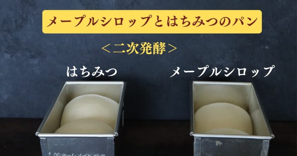 パン作りにおける材料のメープルシロップと砂糖の違いを考察するための実証実験の結果。
二次発酵が終わった段階ではちみつの方がより膨らんでいる状態。
original photographic evidence